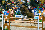 Chap I beim CSI Schwerin 2015