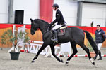 Benthen´s Balou