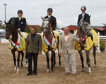 Die Landeschampions der Mecklenburger Springpferde 2011 v.l. Cartagena (v. Cellestial), Cevaro (v. Cero) und Clint v. Cellestial