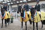 Mecklenburger Landeschampions 2013 der Springpferde v.l. Diarano,
 Chaleen u. Perseus
